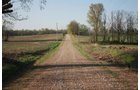 Property photo 14 - 641 Acres Offered in 16 Tracts - 545 Cropland Acres